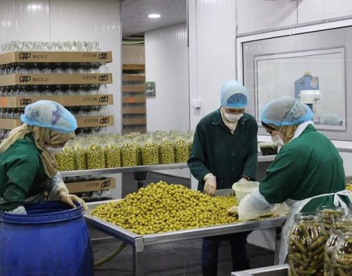 Food for Training programme a chance to work, learn for vulnerable Jordanians